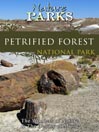 Petrified Forest Arizona
